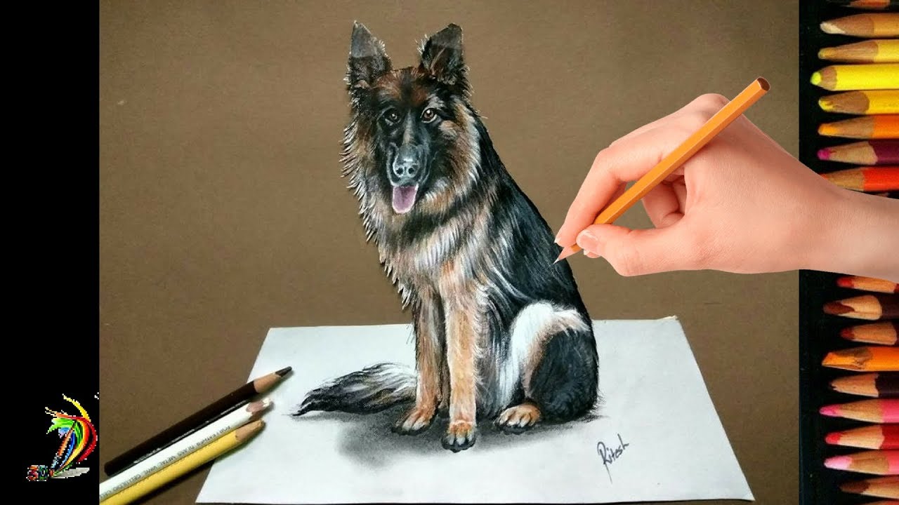 Very Easy How To Draw 3D  Dog  Drawing  3D  Dog  On 