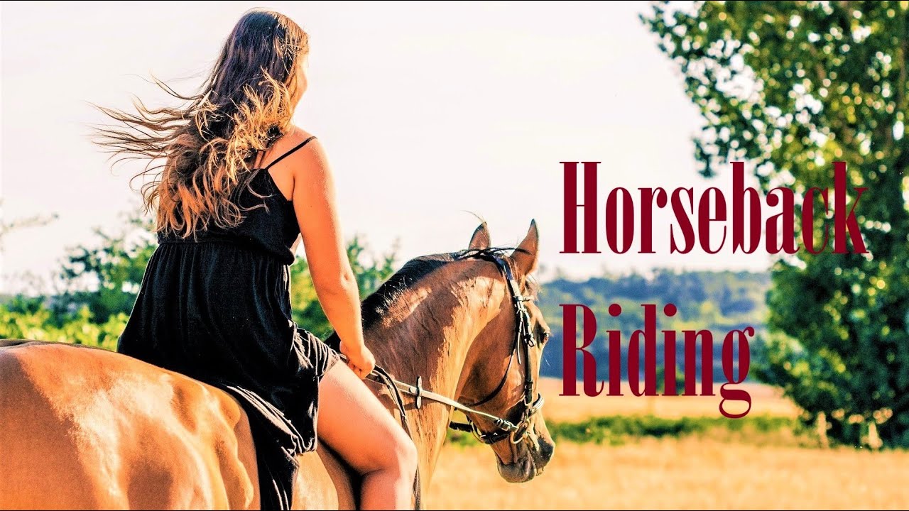 Horseback Ride Countryside - Beautiful horses - Peacocks - Roosters ...