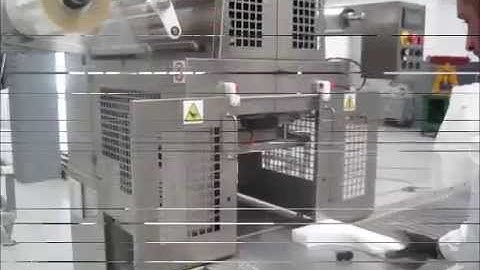 M.S.H  30 Format changeover Thermosealing machine for buckets