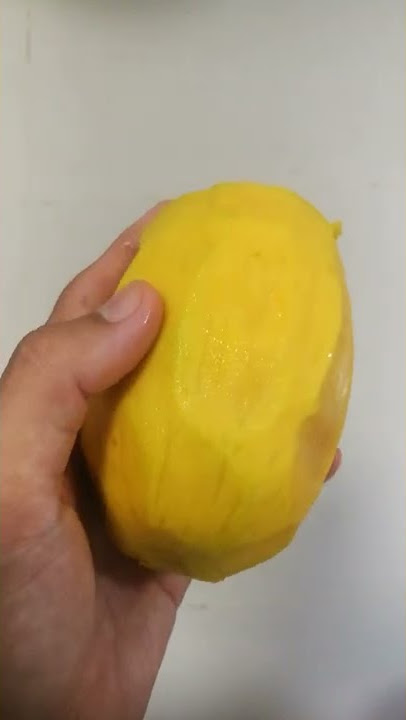 Buah Bacang Buah Macang atau Mangga Kuini. (Buah Rare)