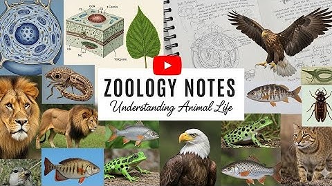 Definition  and basic concept biosystematic taxonomy and classification msc zoology 1sem