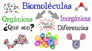 ¿Cuáles son las biomoleculas inorgánicas y organicas?