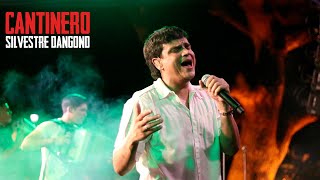 Cantinero (En Vivo) | Silvestre Dangond, Rubén Darío Lanao