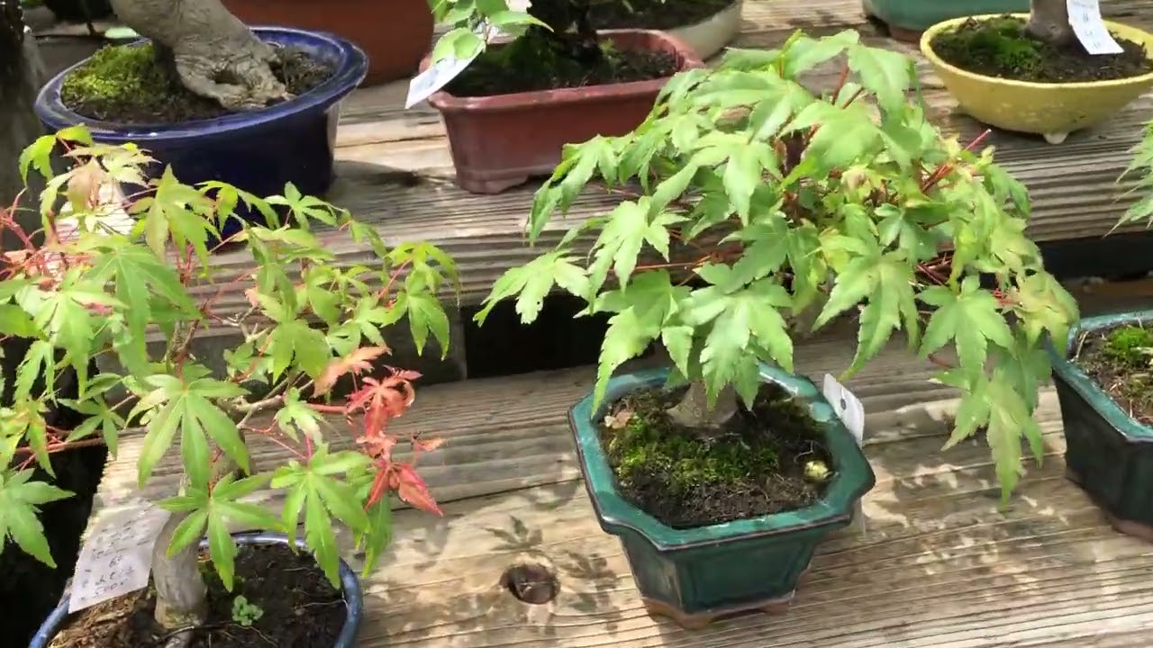 2024. 7.20. 上野グリーンクラブ常設売店サマーセール.