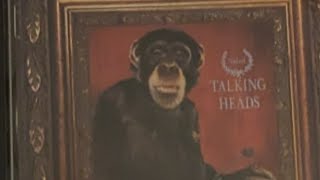 Download Lagu TALKING HEADS, naked (FULL ALBUM) MP3 Download Lagu TALKING HEADS, naked (FULL ALBUM) MP3