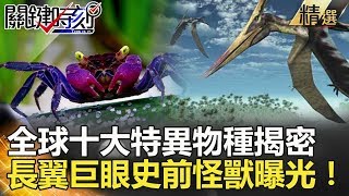 關鍵時刻精選│全球十大特異物種揭密 長翼巨眼史前怪獸曝光！-朱學恒 劉燦榮 黃創夏 馬西屏 眭澔平