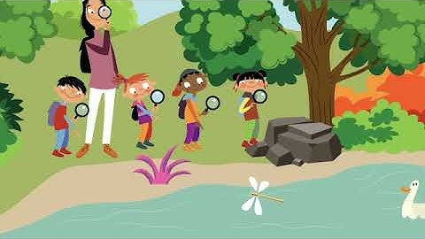 Beehive 1 Song Video Unit 4