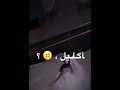 ويلي يوم زفوها حالات واتس قهوه بالهيل حالات واتس 