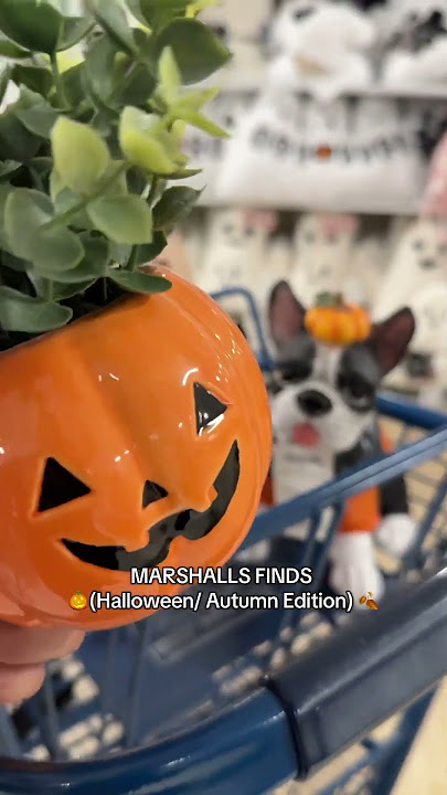 At Marshall’s #florida #marshall #fyp #marshallsfinds