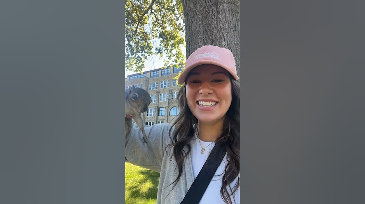 Campus squirrels are insane
