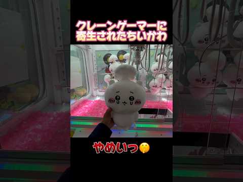 狙う所はアソコ🍄#ちいかわ #ハチワレ #ufoキャッチャー #クレーンゲーム #攻略 #clawmachine #ゲームセンター #ぬいぐるみ #確率機 #anime #kawaii #きのこ