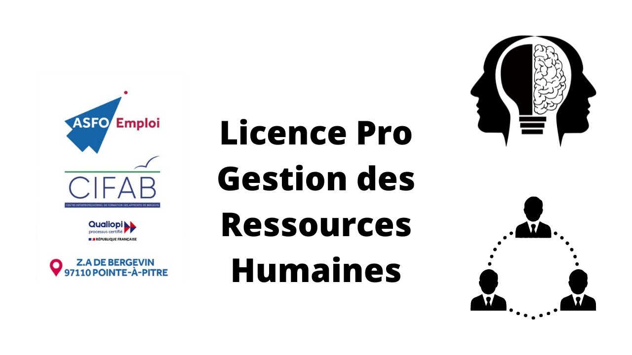 licence professionnelle ressources humaines tours