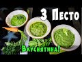 3 ВКУСНЕЙШИХ СОУСА ПЕСТО. Из Базилика, Сельдерея, Морковной ботвы.