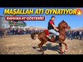 MAŞALLAH! Davul Zurna Eşliğinde Rahvan At Şov 🔥 İzleyen Hayran Kalıyor!