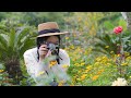 A relaxing music at Tropical Flower Garden - 4k video