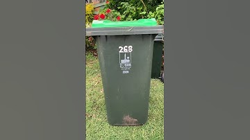 putting the bins out 16/5/23 #shorts