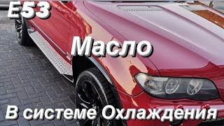 Е53 масло в антифризе!