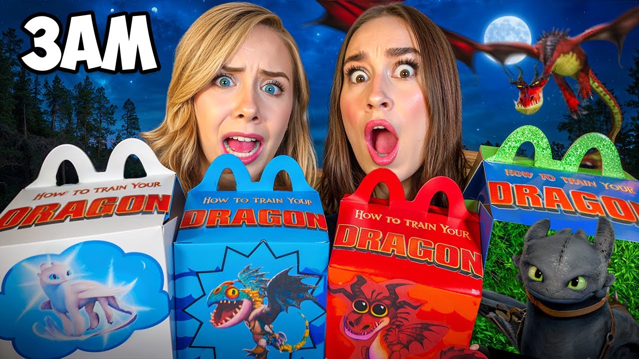 DO NOT ORDER ALL HOW TO TRAIN YOUR DRAGON HAPPY MEALS AT 3 AM…