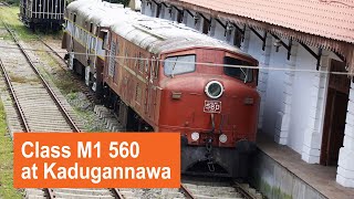 Class M1 560 at Kadugannawa Railway Museum