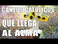 Cantos catolicos alegres  que motivan