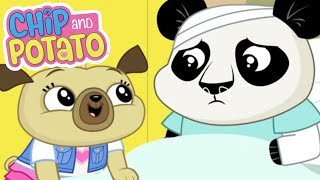 Chip and Potato | Chip de viagem de hospital | Desenhos animados para crianças