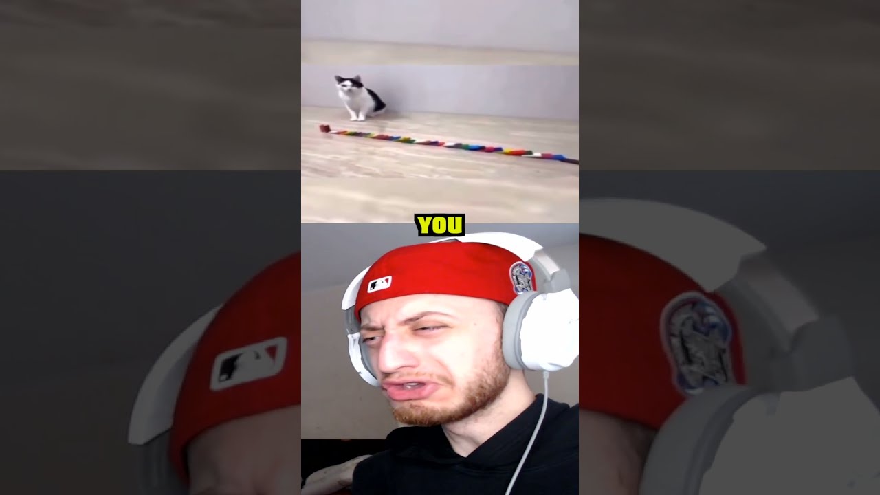 You Missed The First 2 Shorts Short Memes Meme