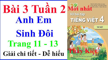 Vở Bài Tập Tiếng Việt Lớp 4 Bài 3 Tuần 2 | Anh Em Sinh Đôi | Trang 11–13 | Kết Nối Tri Thức