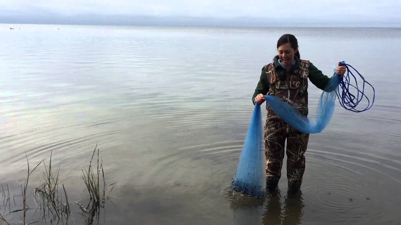 How to Throw a Cast Net 