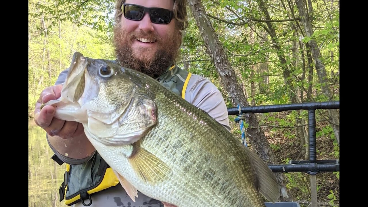 Lake Norman F1 Hybrid Largemouth Bass Stocking Program 