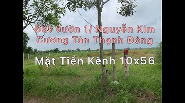 Đất Vườn Mặt Tiền Kênh Củ Chi 1/Nguyễn Kim Cương,Tân Thạnh Đông