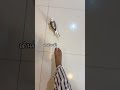 สิ่งที่คนเลี้ยงนกต้องระวัง! #birds #cockatiel #parrot #นกแก้วน่ารัก