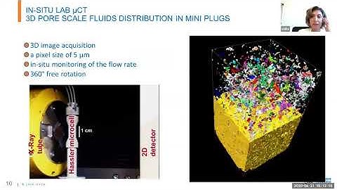 Olga Vizika - InterPore2020 Invited Lecture - August 31, 2020