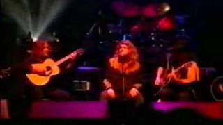 Lynyrd Skynyrd - Devil In The Bottle {acoustic}