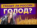 Грозит ли России голод? Дефицит сахара и продовольственные сертификаты / Мнения экспертов