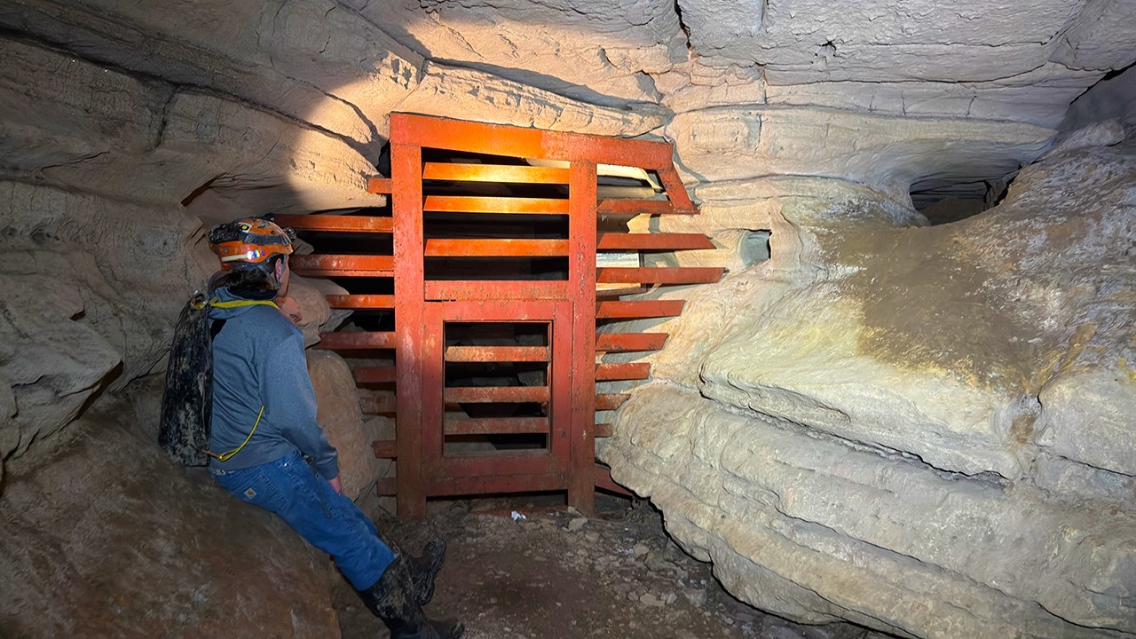 Gated Cave 200ft Beneath a Junkyard Full of Life