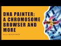 DNA Painter: A Chromosome Browser and More