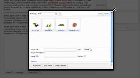 Help video adding an image to an article in Joomla 1.5
