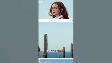 Typography in Branding