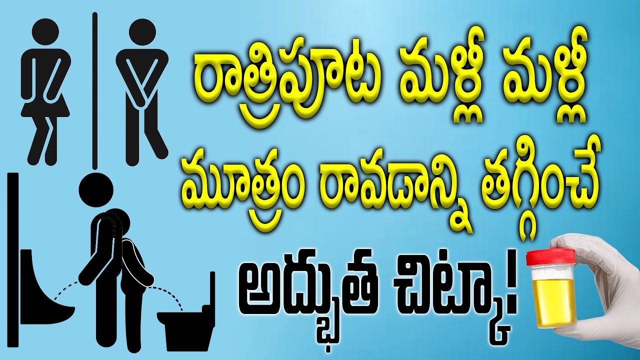 రాత్రిపూట మళ్లీ మళ్లీ మూత్రం రావడాన్ని తగ్గించే అద్భుత చిట్కా #cellhealth #cmddiet #kideny #heart