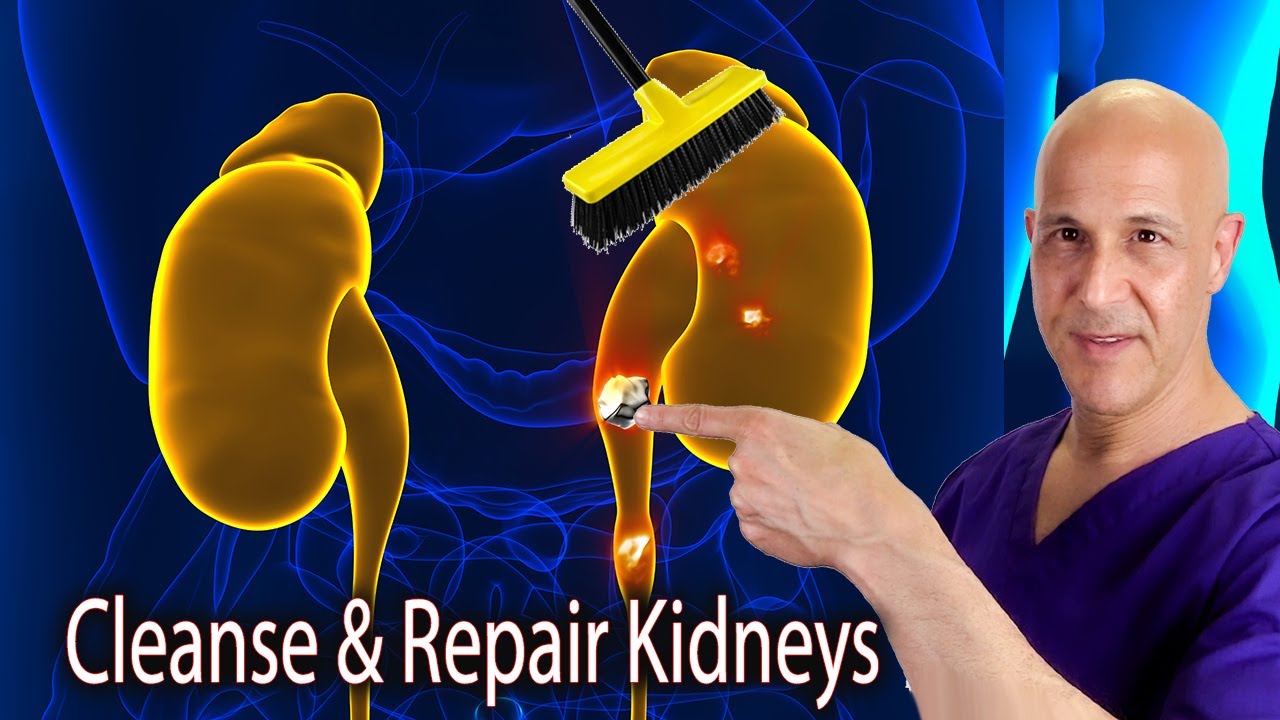 Detox, Cleanse Repair Your Kidneys! Dr. Mandell