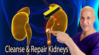 Detox, Cleanse & Repair Your Kidneys! Dr. Mandell