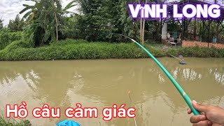 Trải nghiệm hồ câu cá giải trí hai con mèo, một cái hồ cho câu cảm giác ở Vĩnh Long