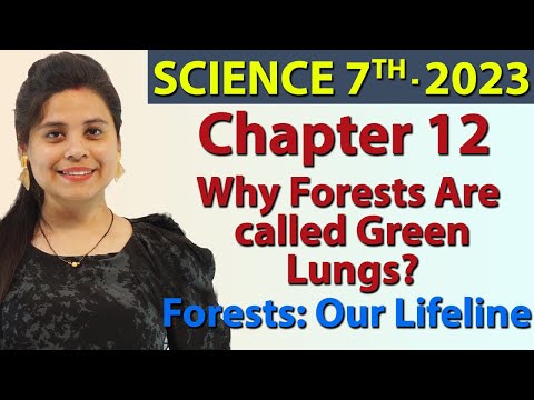 Video: Why Forests Are Called Green Lungs