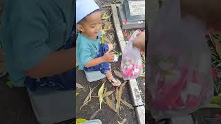 Ziarah ke Makam bersama Achmad Hazmy