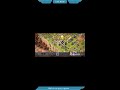 Clash of clans Live Legend league hits and Base visit