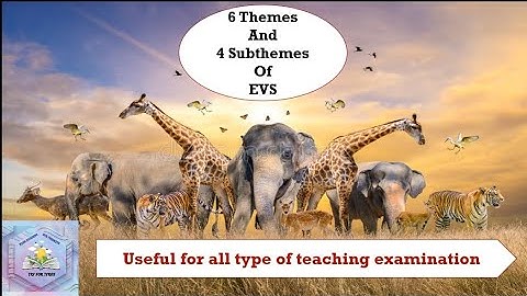 Themes and Sub-themes of EVS🤗Useful for CTET,UPTET,STET,KVS etc 📚|CTET JULY 2023