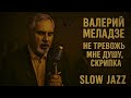 Valery Meladze Don T Disturb My Soul Violin Slow Jazz