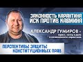 ИСК ПРОТИВ КАБМИНА. ЗАКОННОСТЬ КАРАНТИНА. СУДЕБНЫЕ ПЕРСПЕКТИВЫ ПО ЗАЩИТЕ ПРАВ ГРАЖДАН.