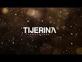 Felices Fiestas te desea Tijerina Legal Group