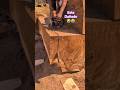 Madera de un árbol rajado😱#chainsaw #asmr #woodwork